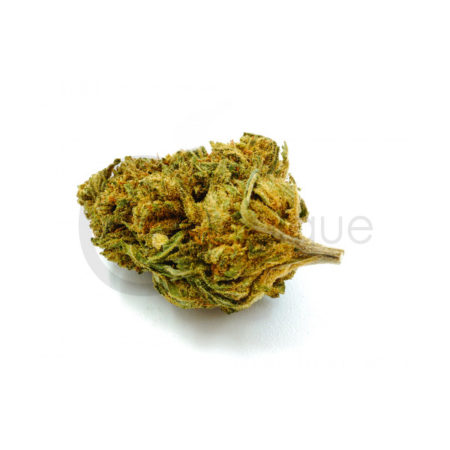 Fleur de CBD Amnésia