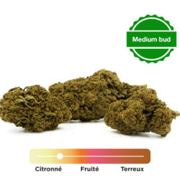 Fleur de CBD Cali Moon Greenhouse