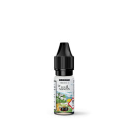 E liquide mangue ananas sels les 4 saisons Protect