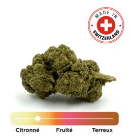 Fleur de CBD Moby Dick Indoor