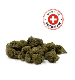 Fleur de CBD Small Bud Indoor