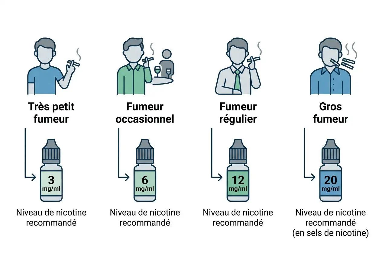 Diagramme illustrant les niveaux de nicotine recommandés selon le type de fumeur et les erreurs courantes fabrication e-liquide à éviter.